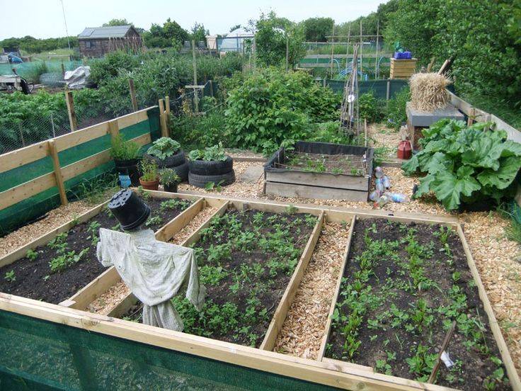 Lovely Homestead Farm Garden Layout And Design Ideas Gardens