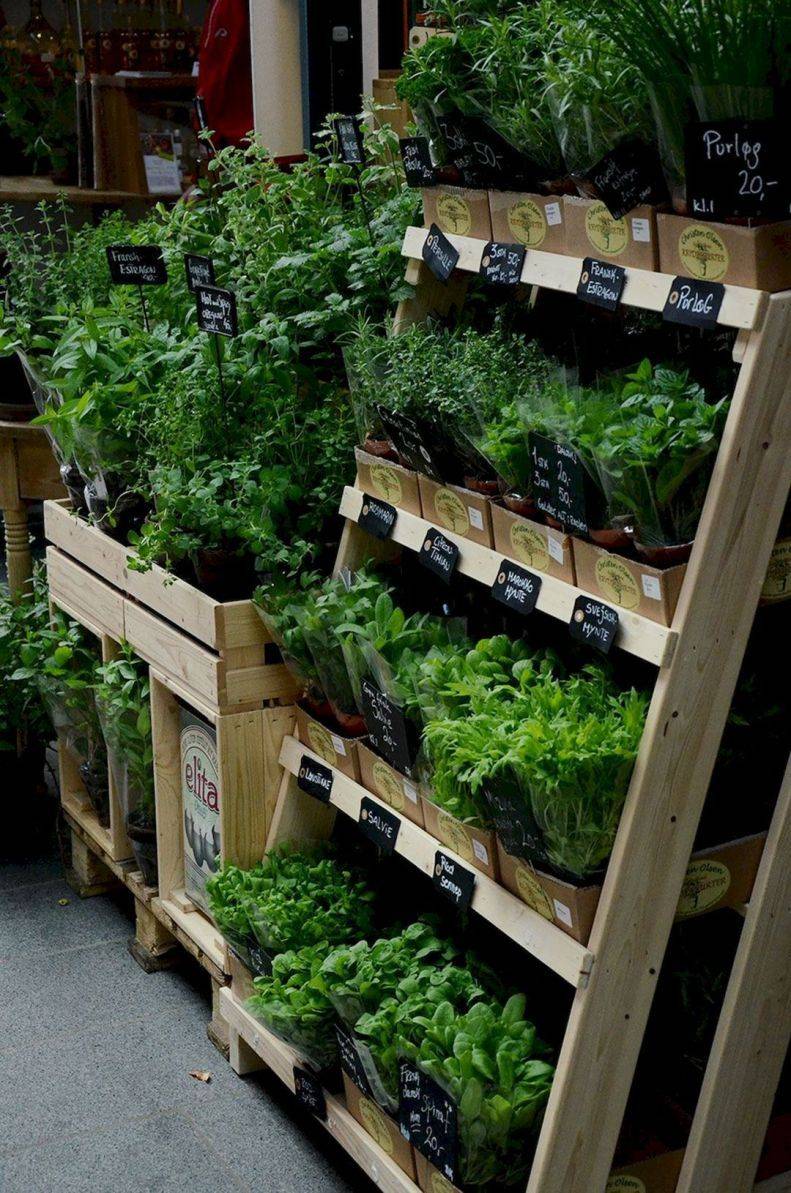 Organic Gardening Auburn Key