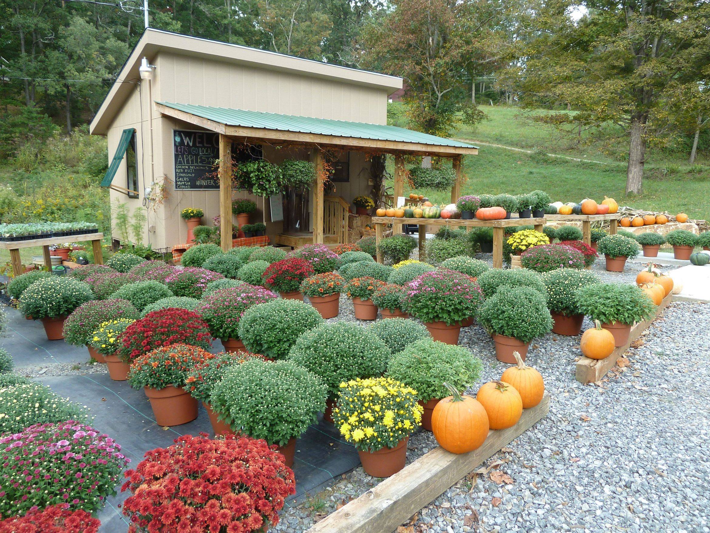 The Neighborhood Cottage