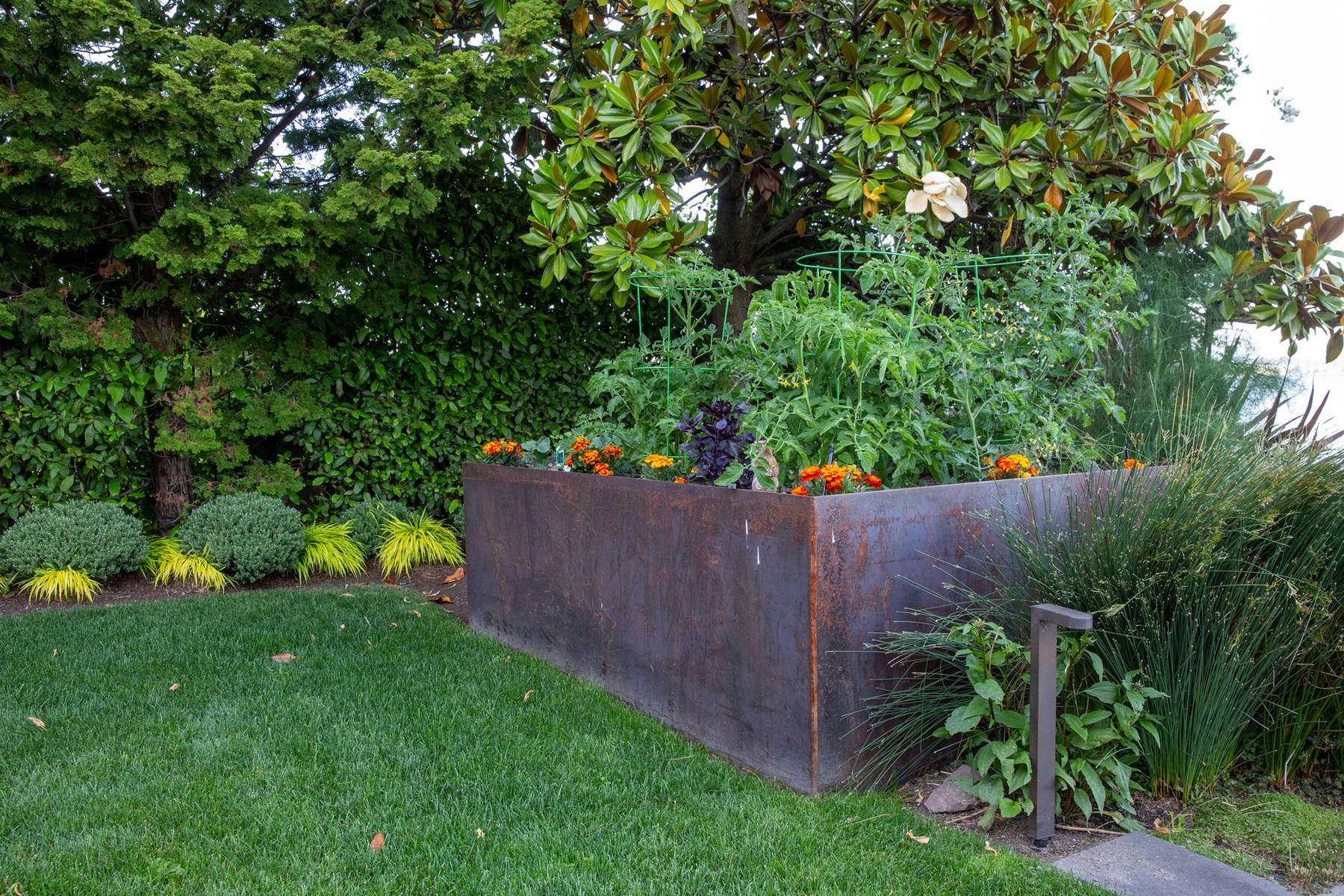 Vegetable Gardens Permaculture Farming
