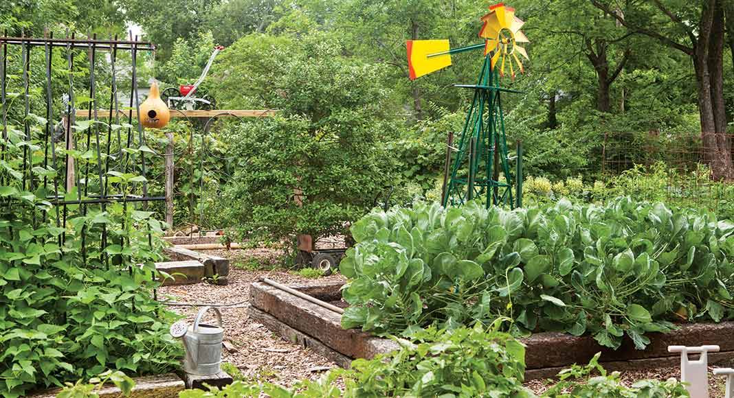 A Front Yard Veggie Garden