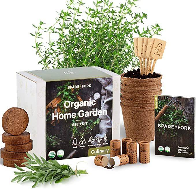 Beginnerfriendly Indoor Herb Garden Kits