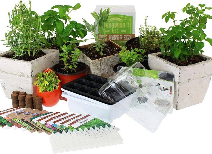 Grow Light