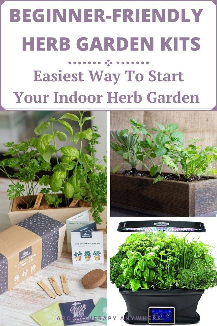 20 Best Indoor Herb Garden Kits Ideas For This Year SharonSable