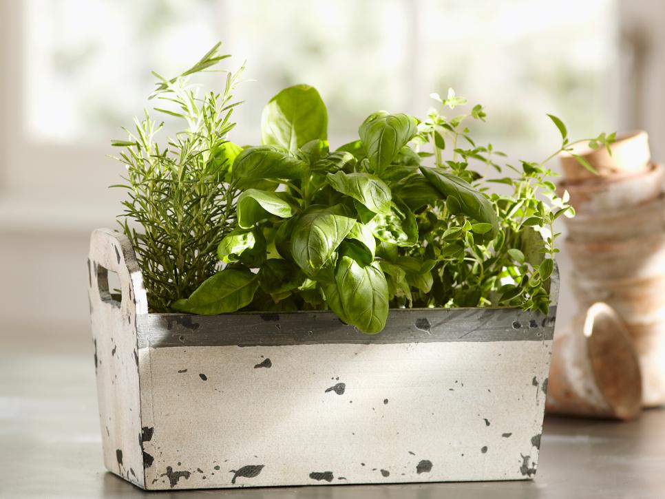 Urban Leaf Herb Garden Starter Kit Beginner Friendly Indoor