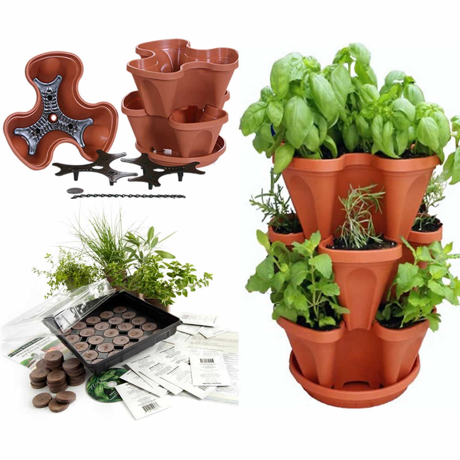 Viridescentindoorherbgardenkitkitchenwoodenwindowsillplanter