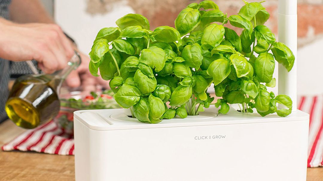 Viridescent Indoor Herb Garden Kit