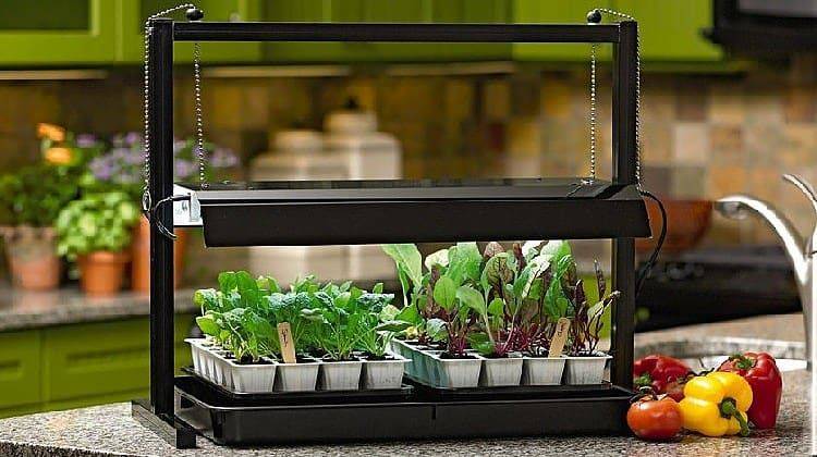 Indoor Herb Garden Kits