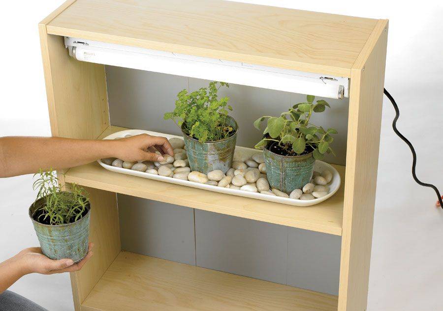 Grow Light Garden Design Ideas