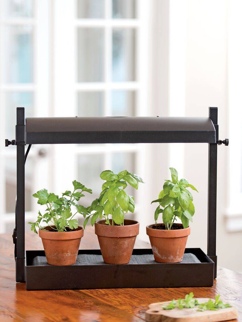 Indoor Herb Garden Ideas