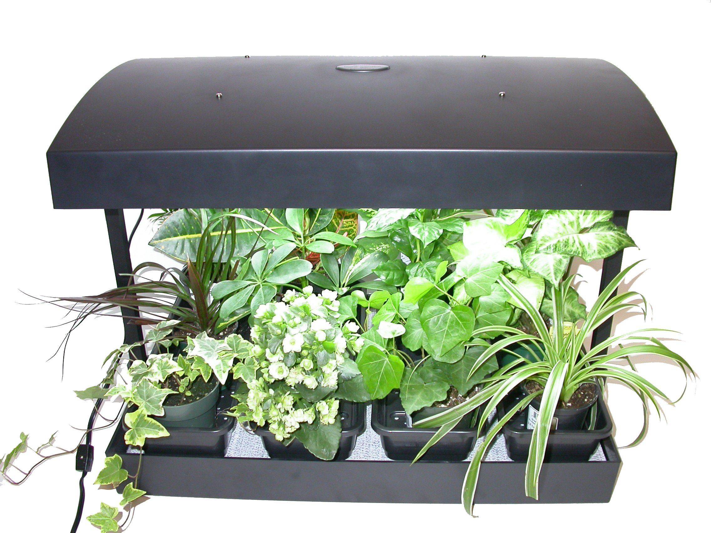 Micro Grow Light Garden Indoor Herb Garden Herb Garden Kit Herbs