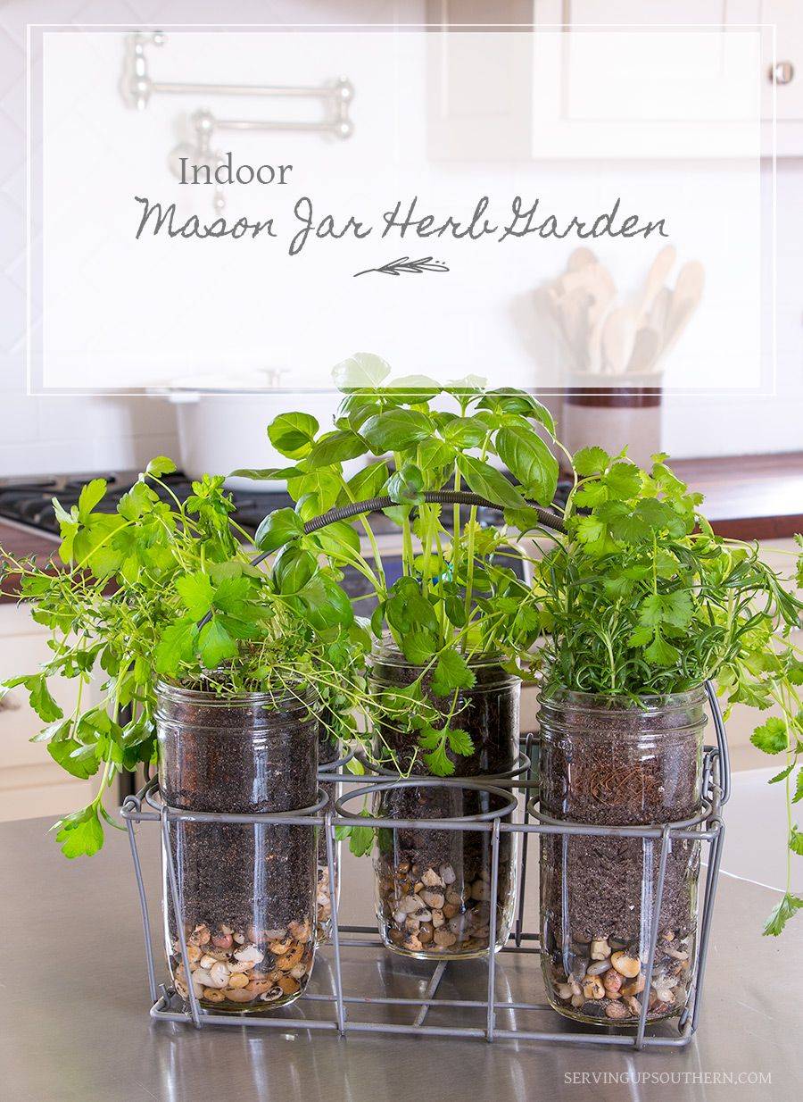 Your Own Hydroponics Herb Garden