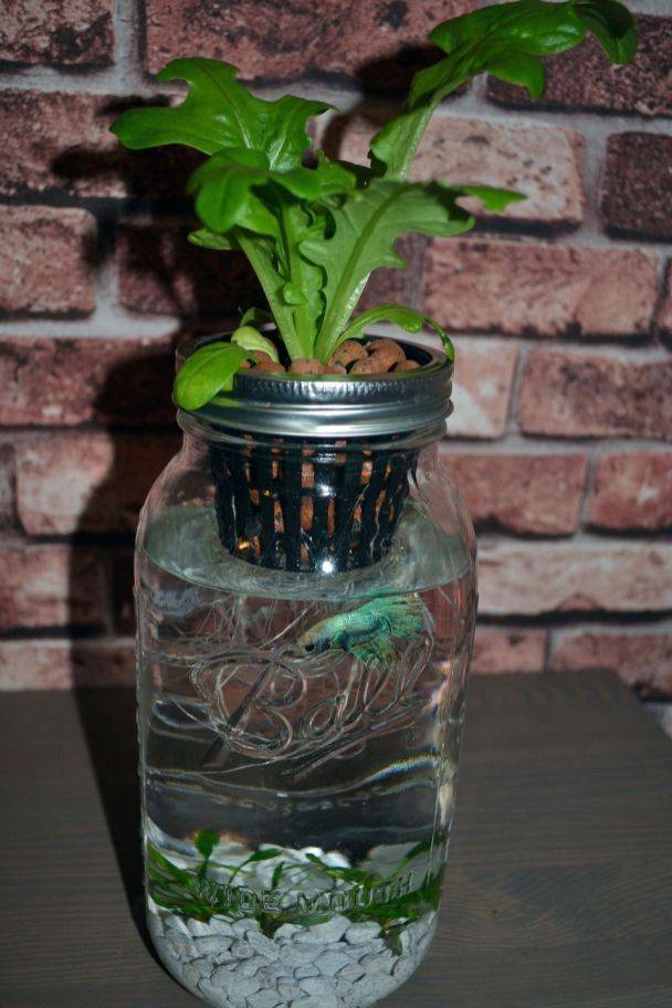 A Comprehensive Overview