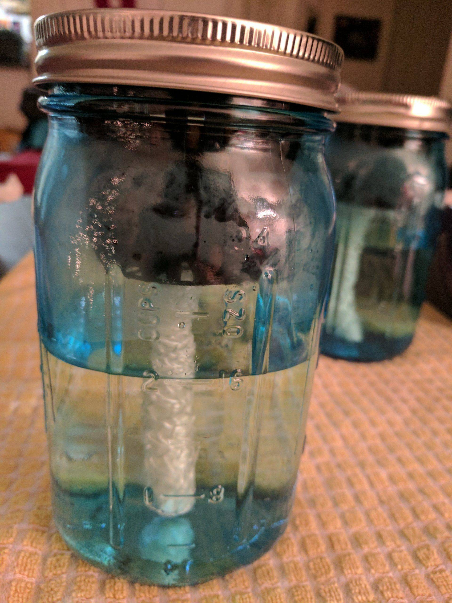 Mason Jar Indoor Flower Garden Window Garden