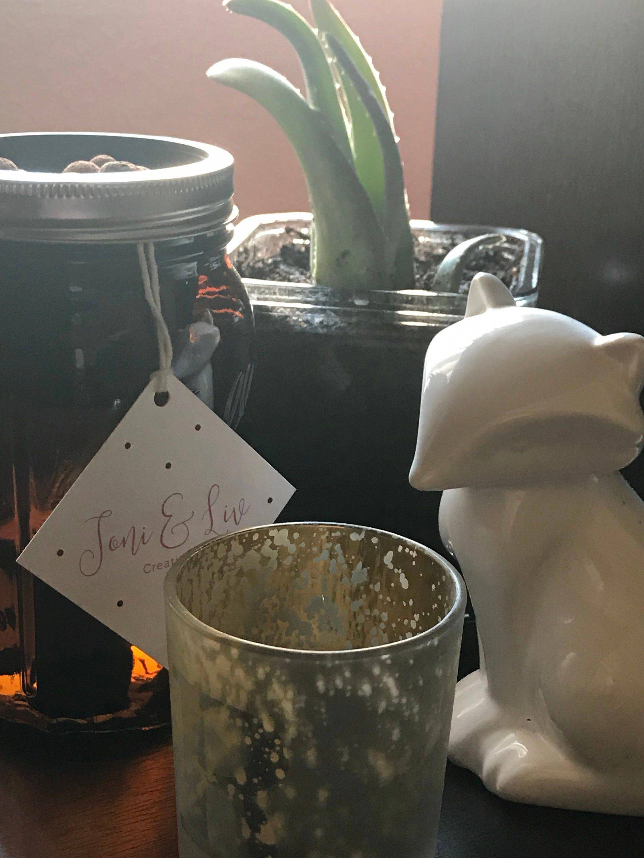 Organic Basil Mason Jar Indoor Herb Garden Organic Basil