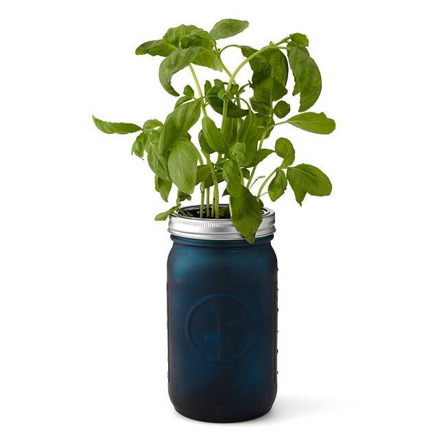 Flowers Garden Mason Jar Garden