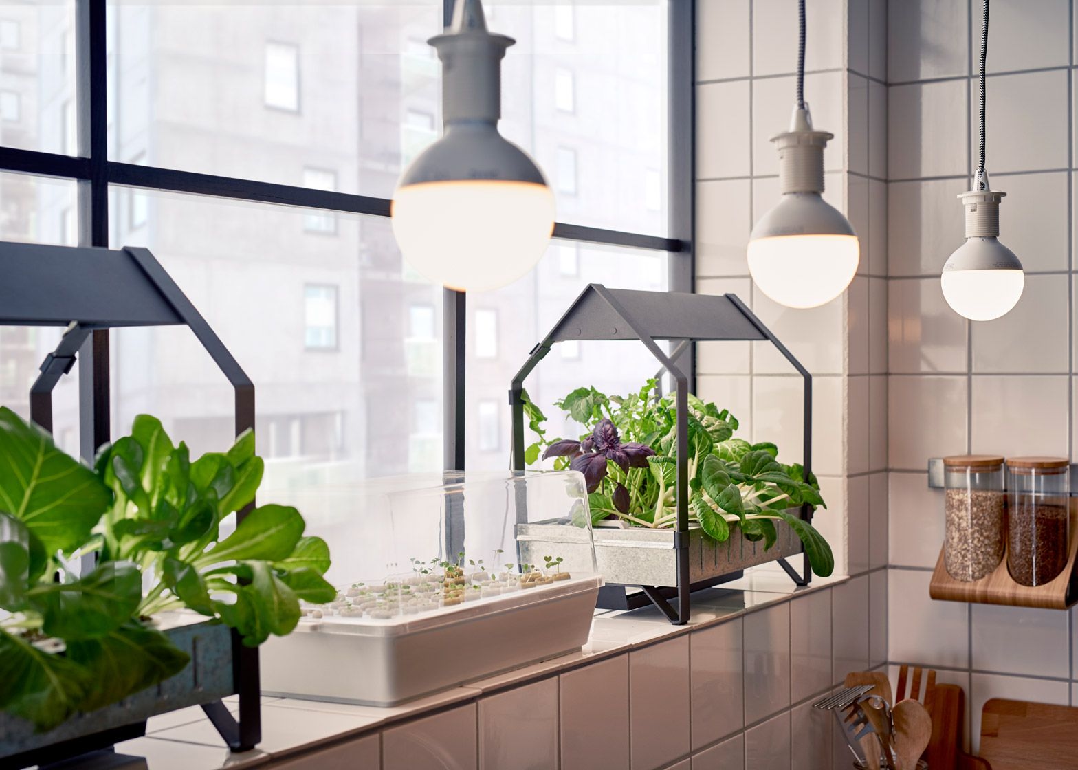 A Hydroponic Indoor Gardening Kit