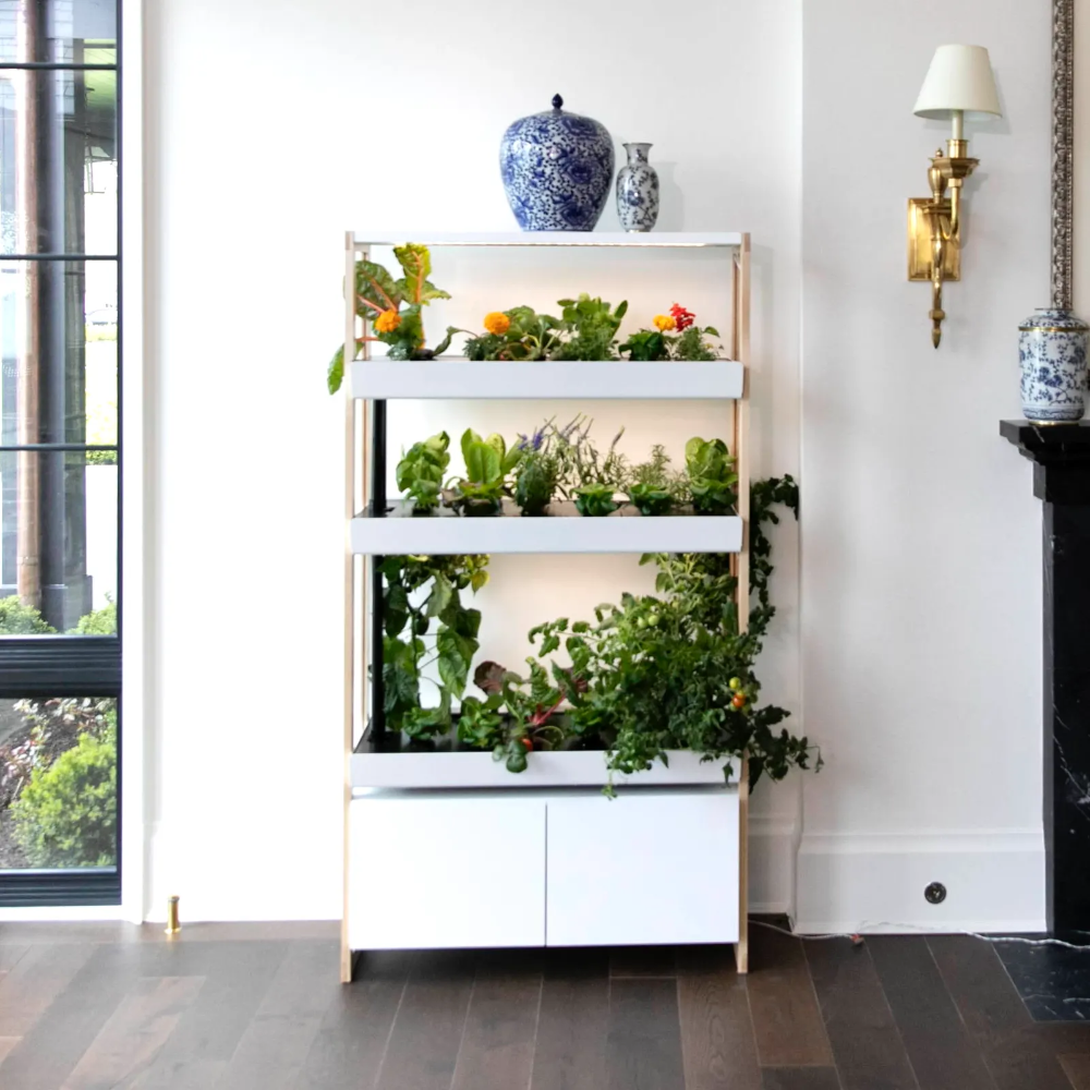 A Hydroponic Indoor Gardening Kit