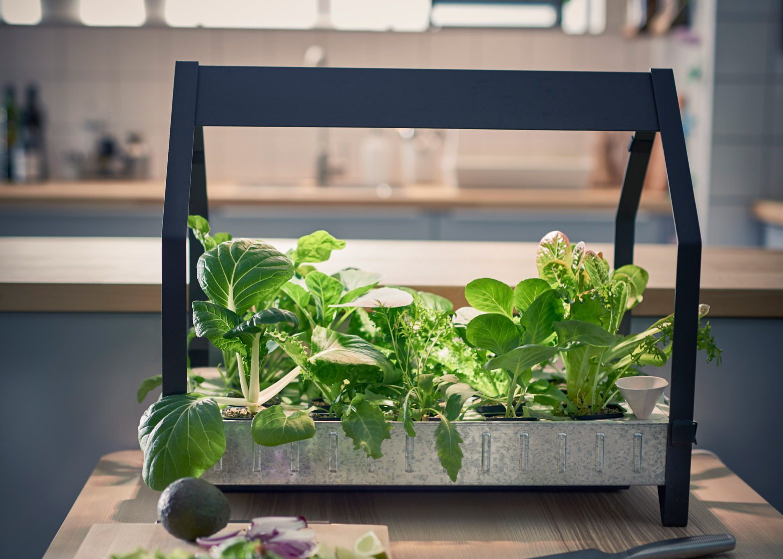 Their Very First Indoor Garden System