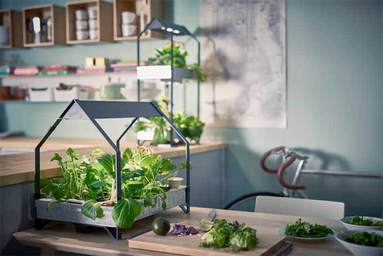 Ikeas Hydroponic System