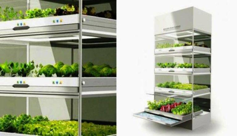 Hyundais Kitchen Nano Garden