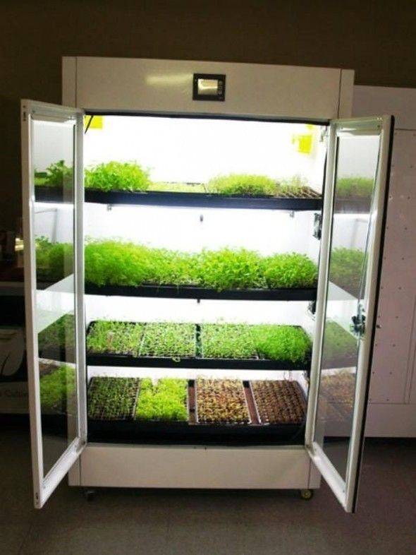 Architecture Decorating Ideas