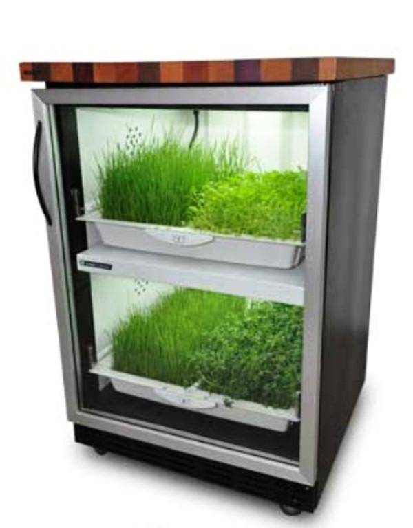 Hyundai Design Design Garden