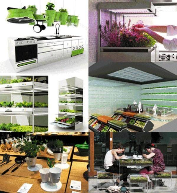 Kitchen Nano Garden