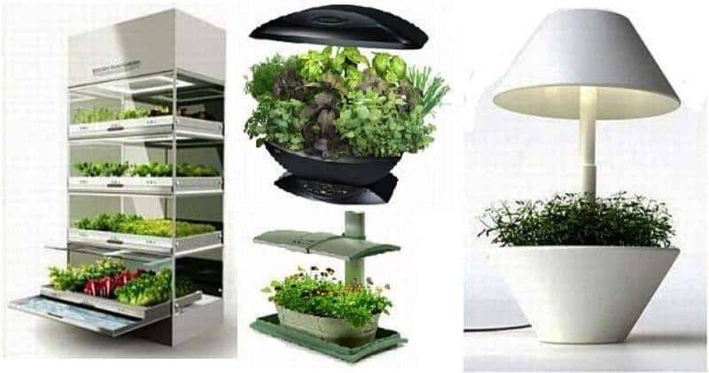 The Commercial Cultivator