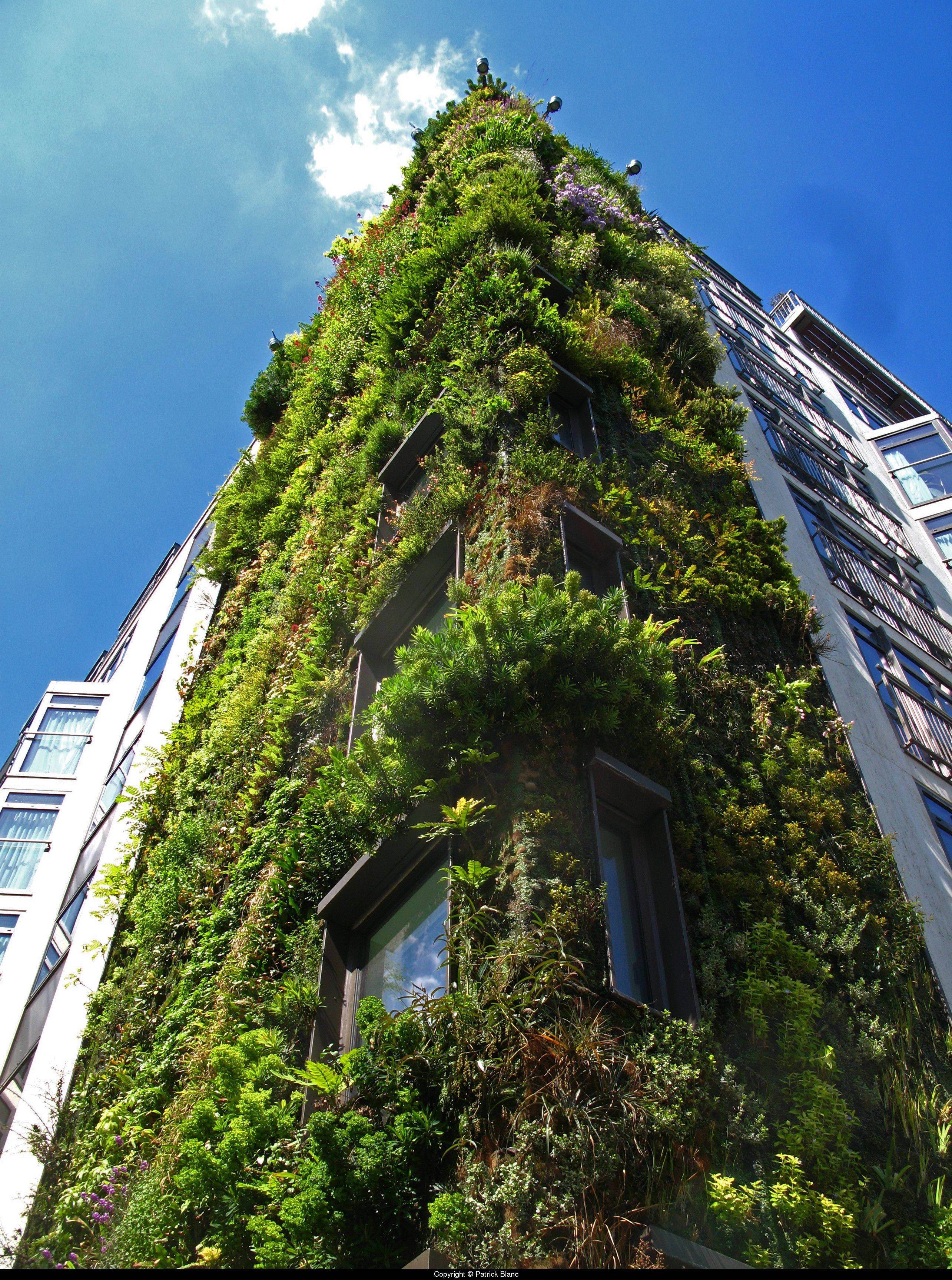 Mur Vegetal Patrick Blanc