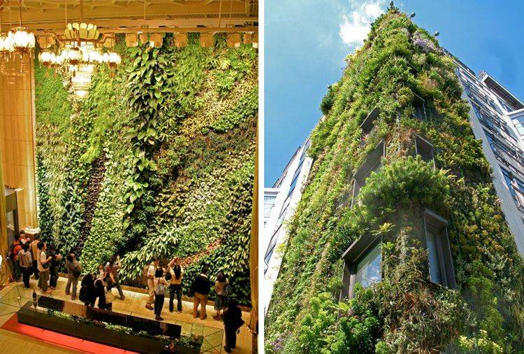Hong Kong Vertical Garden