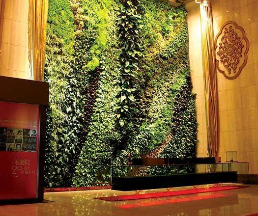 Hong Kong Vertical Garden