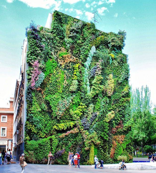 De Patrick Blanc Terrasse Jardin Idees