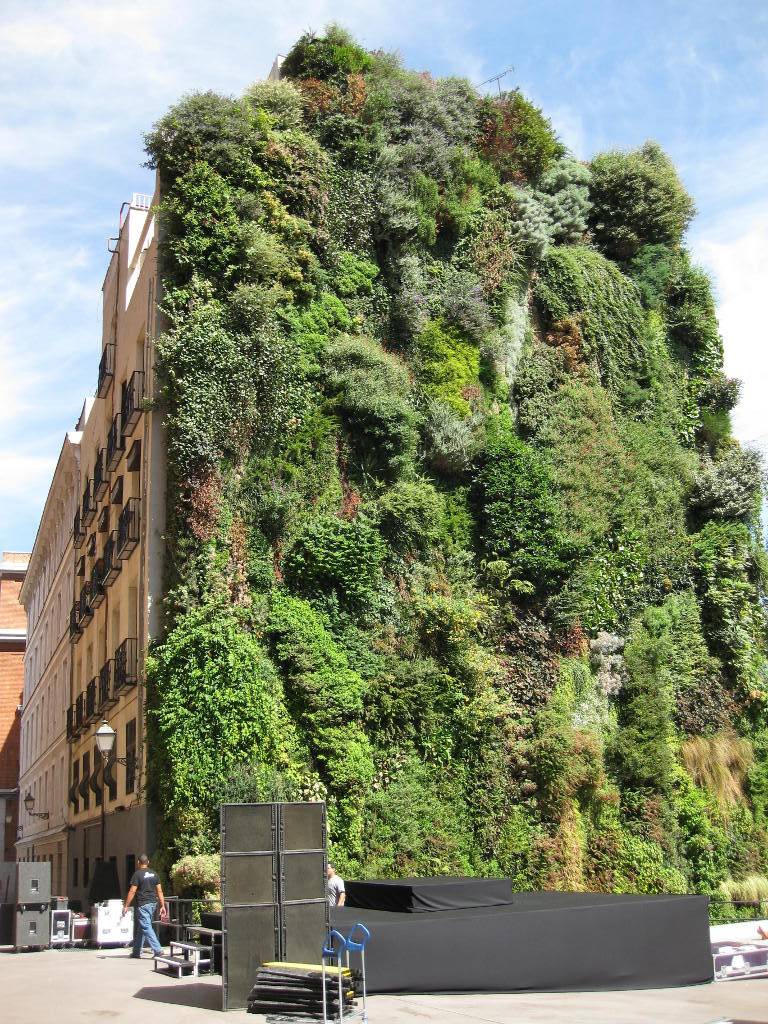 Living Wall