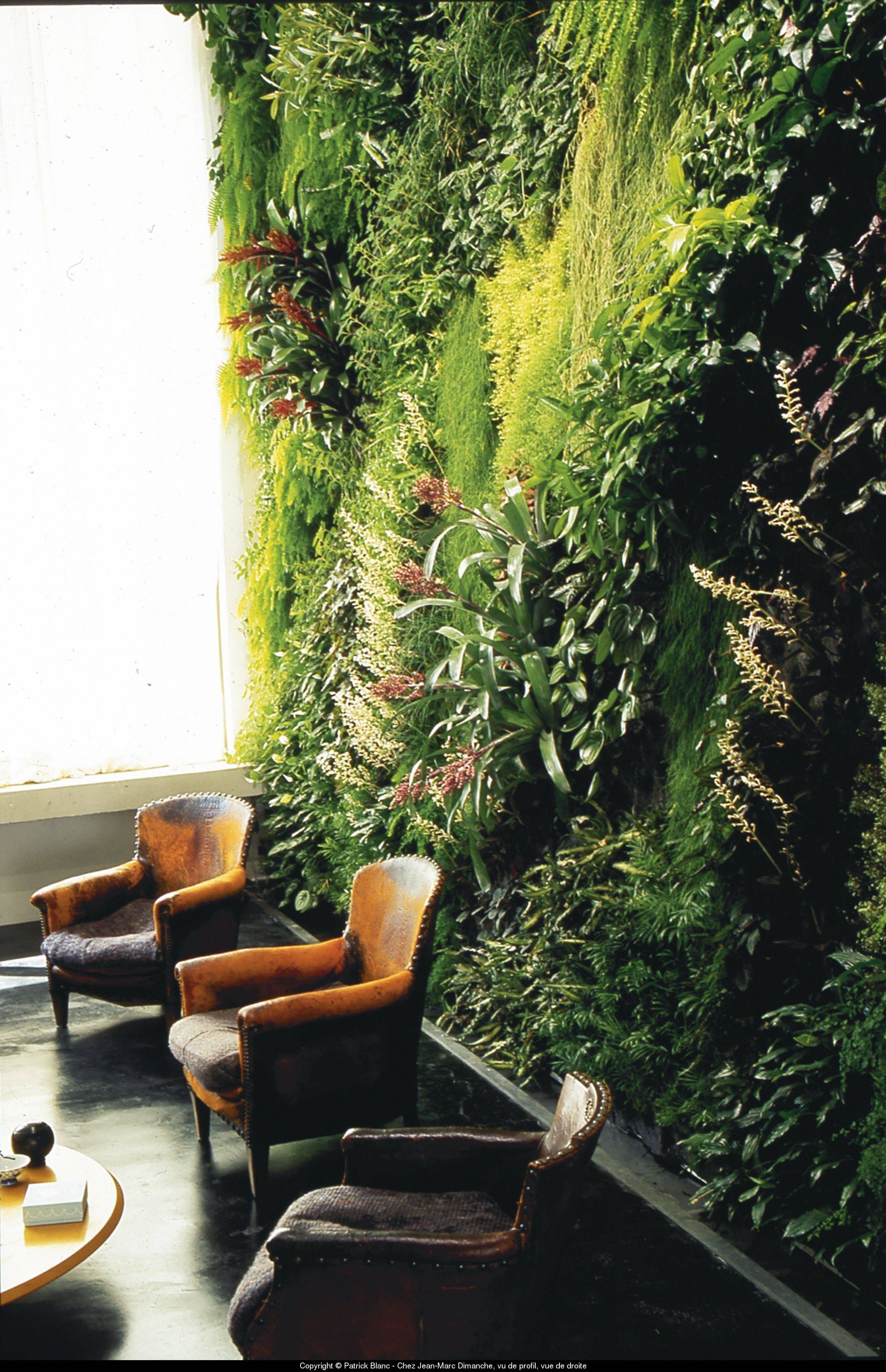 Patrickblancverticalgarden Vertical Garden Wall