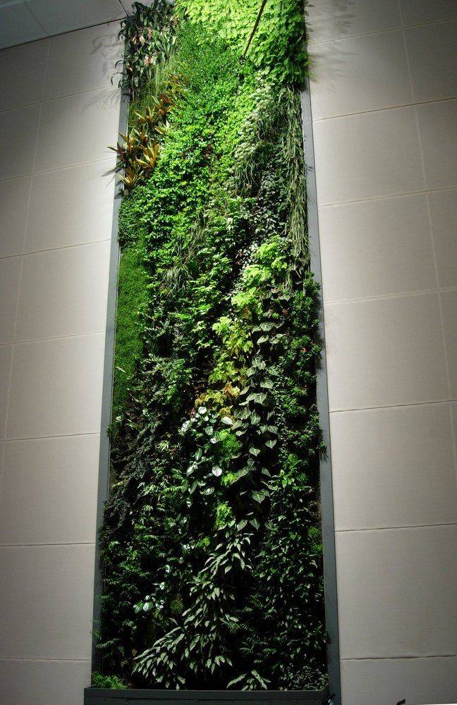 Vertical Garden