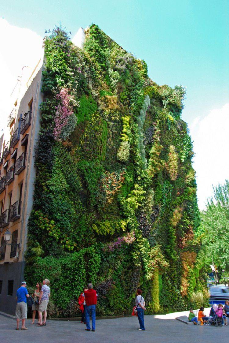 Vertical Garden Patrick Blanc