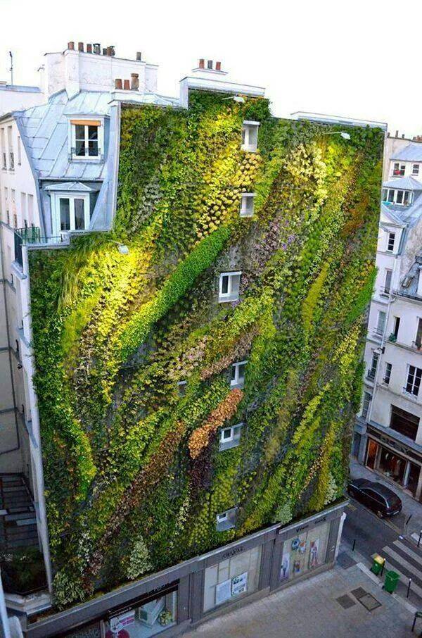 Green Architecture