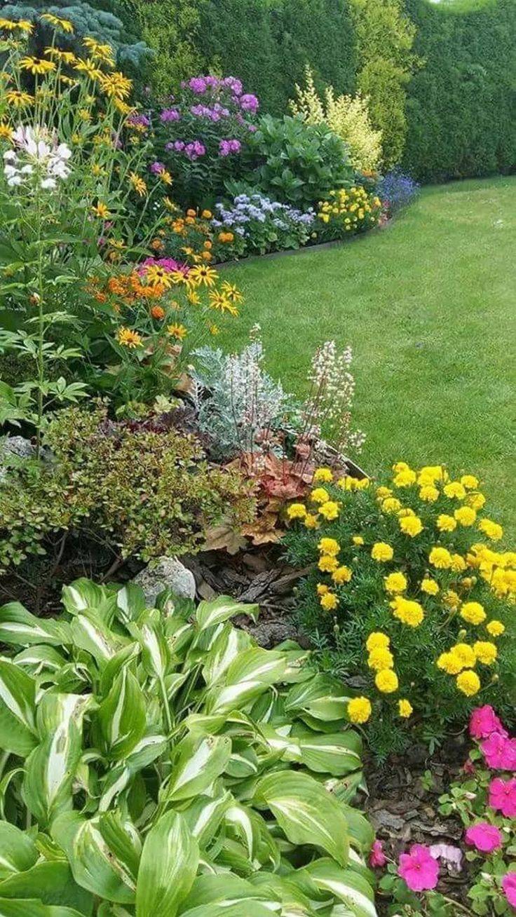 Full Sun Home Decorating Ideas