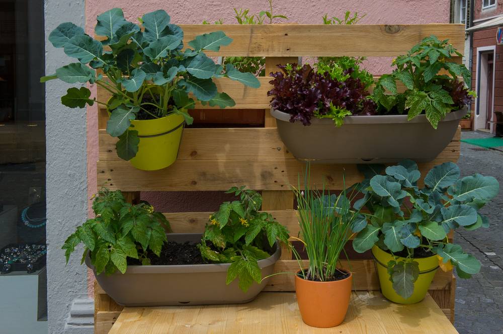 Ideasvegetablegardentosavespacecover Post