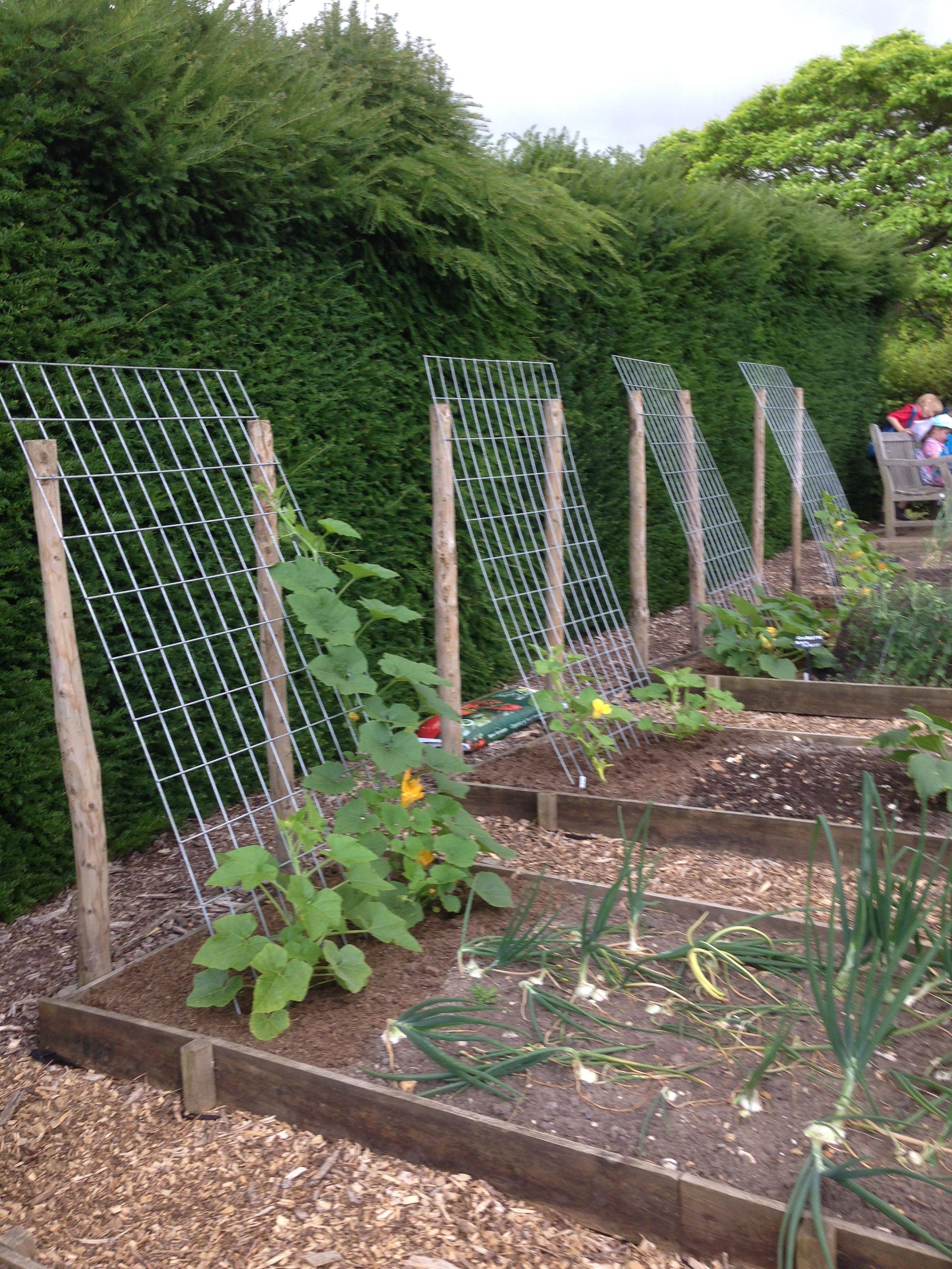 Best Spacesaving Vertical Vegetable Garden Decor Ideas Homelizm