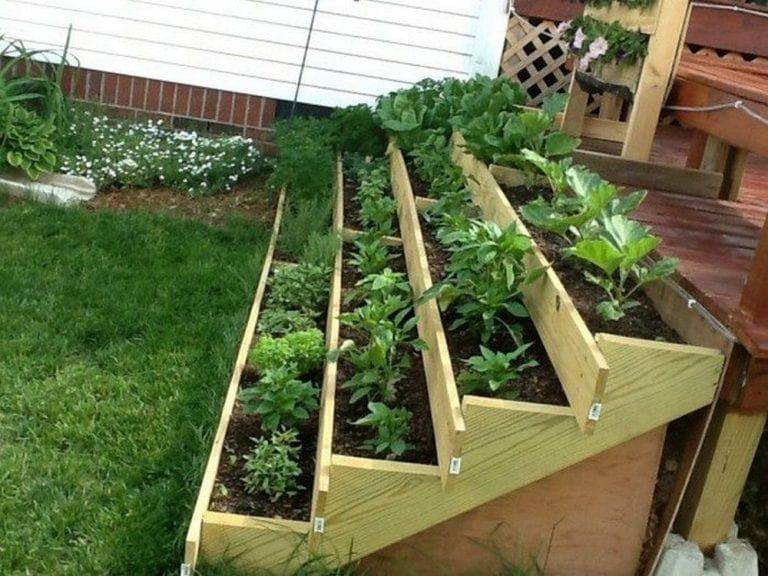 A Space Saving Vertical Salad Garden Vertical Vegetable Gardens