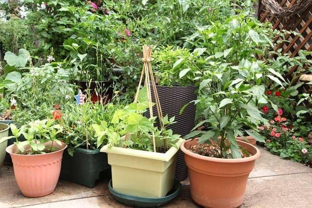 A Space Saving Vertical Vegetable Garden