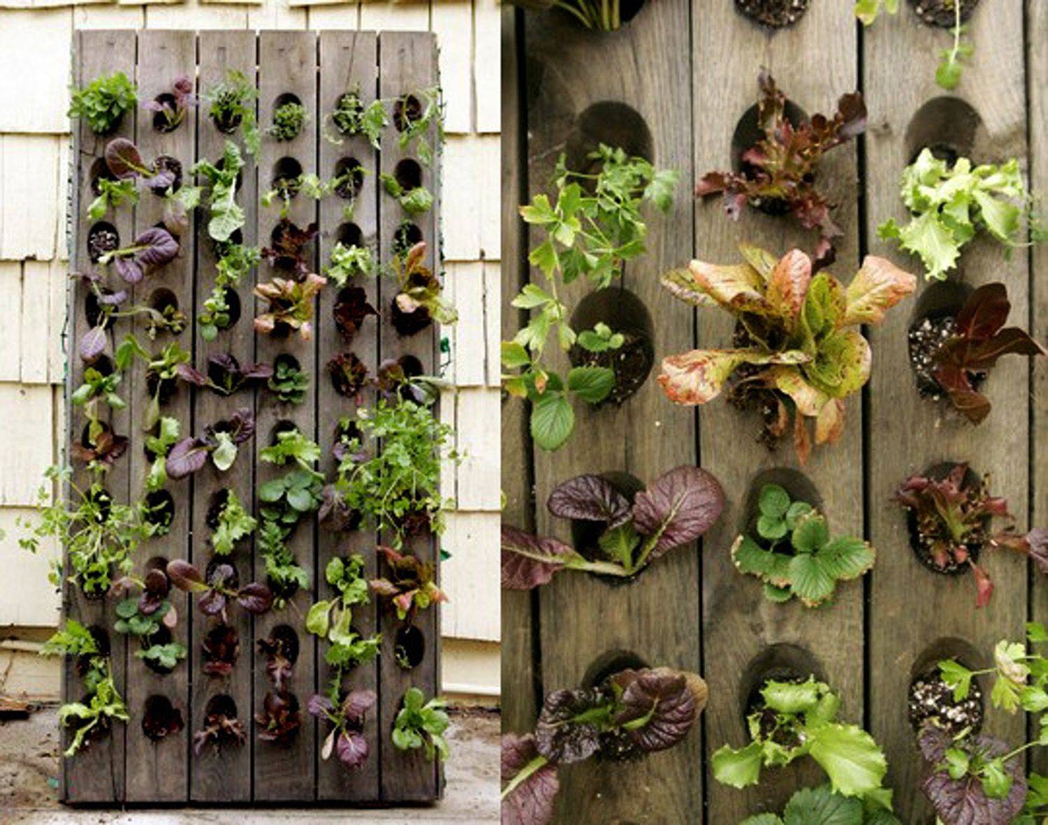 Spacesaving Gardening Methods