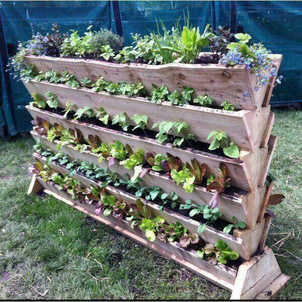 Spacesaving Staircase Vertical Planter