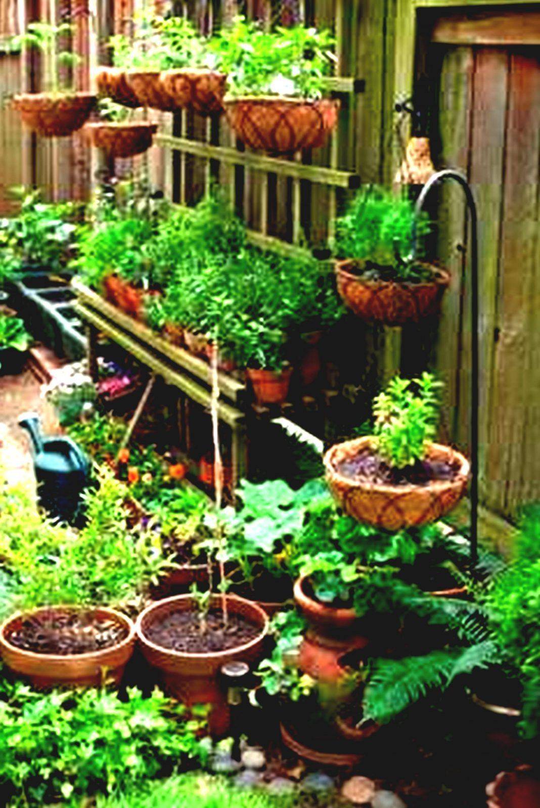 Unusual Vegetable Garden Ideas