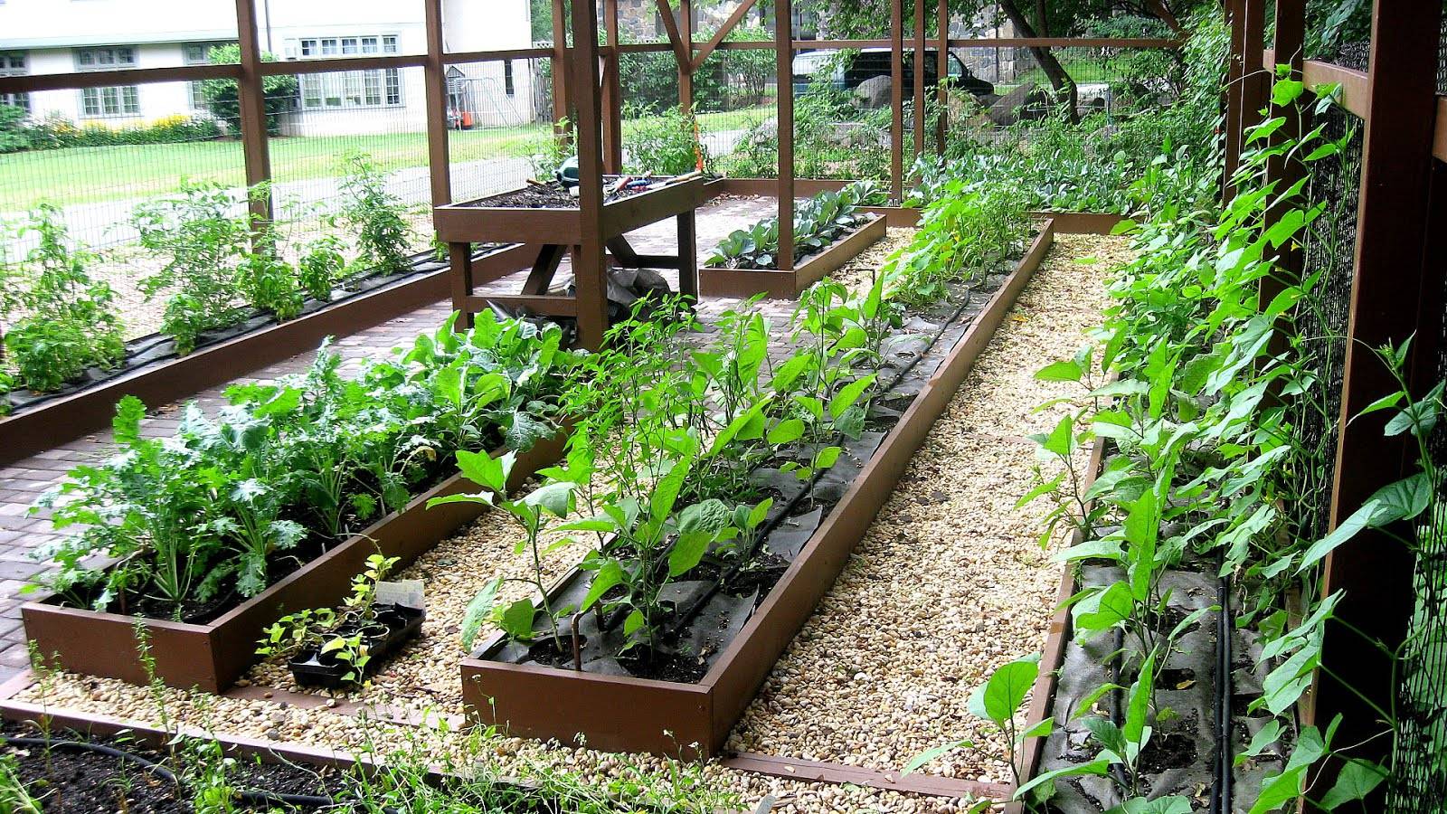 Kitchen Herb Garden Ideas Fit