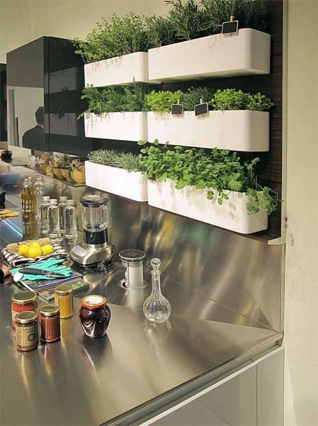 Kitchen Herbs Garden Ideas