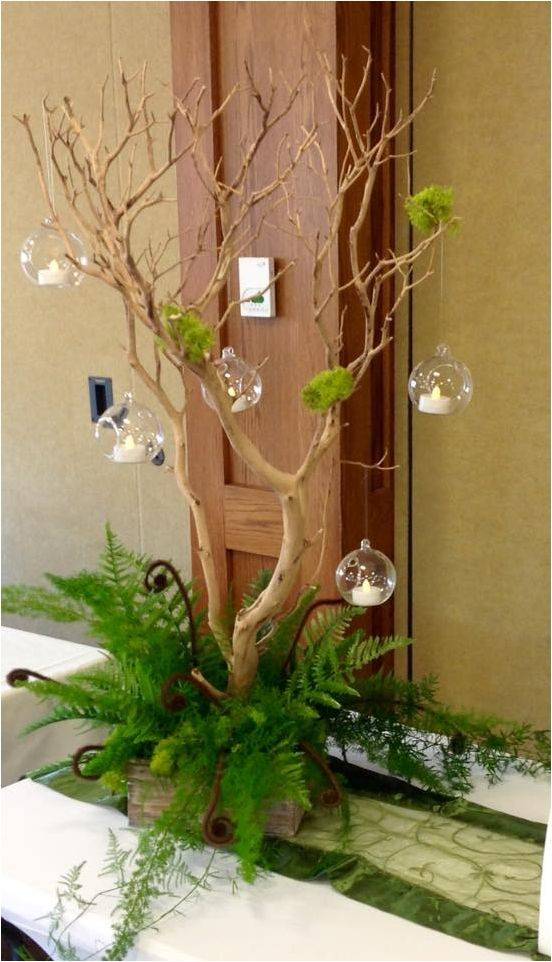 Saraniyas Garden Fairyland Enchanted Forest Book