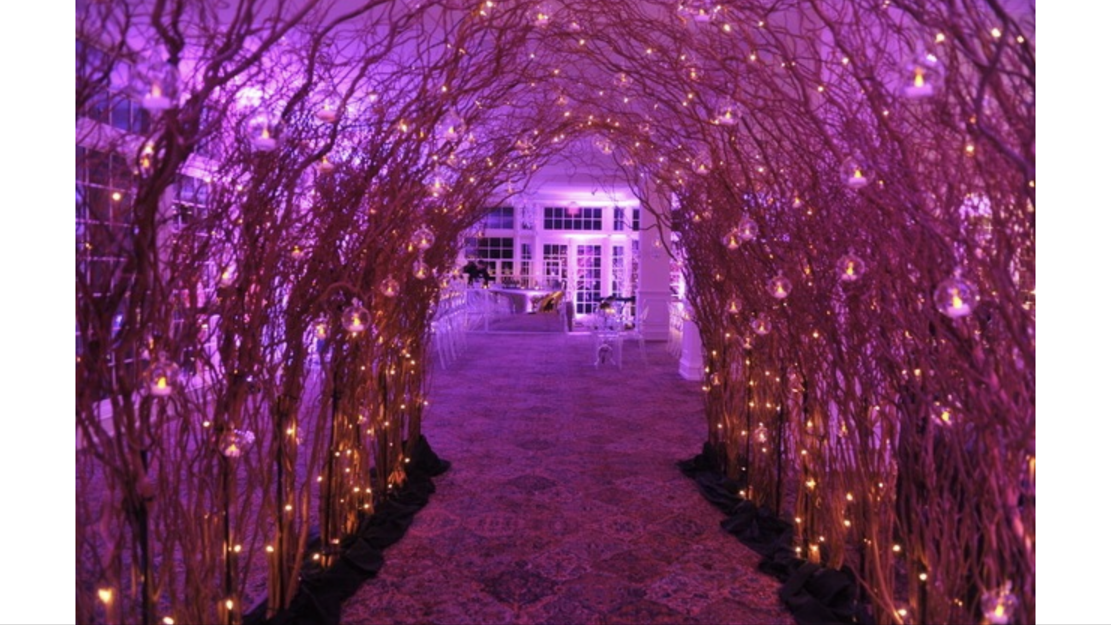 Secret Garden Theme Party